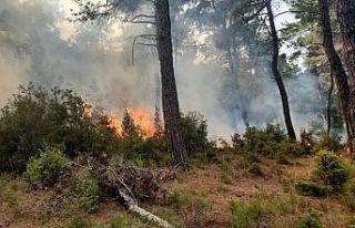 Gelibolu’da yıldırım düşmesi sonucu bir yangın...