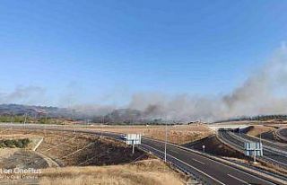 Gelibolu’da zirai alanda yangın çıktı