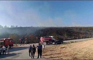 Gençlerin tehlikeli oyunu ormanı yakacaktı