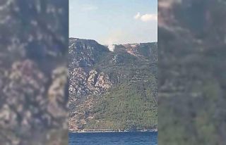 Gökova Körfezinde orman yangını