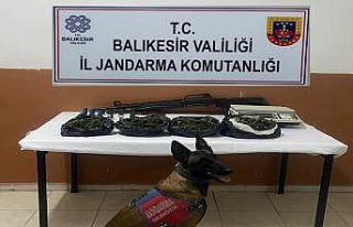 Gömeç’te 500 gram kubar esrar ele geçirildi