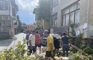 Gövdesi çürüyen asırlık çınar ağacı sokak...