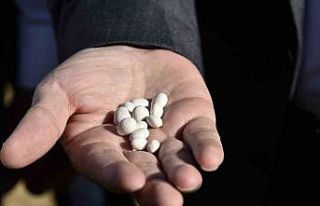 Gümüşhane’de kuru fasulye hasadı devam ediyor