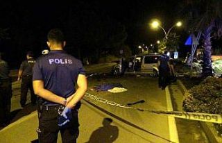 Hafif ticari araç palmiye ağacına ve aydınlatma...