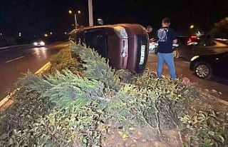 Hafif ticari araç refüjde devrildi