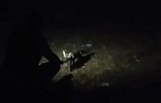 Harmana gelen tilkiyi elleri ile beslediler