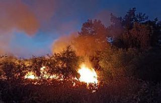Hatay’da ağaçlık alan yangını söndürüldü