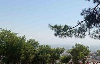 Hatay’da ormanlık alanda örtü yangını