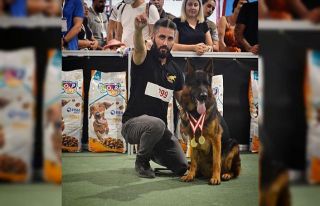 Hayatını köpeklerine adadı, şimdi de gözünü...