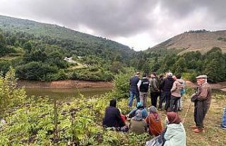 Hayvanları otlatırken kaybolan Emirhan’ı arama...