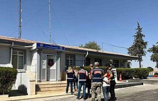 Hırsızların bagajından koyun çıktı