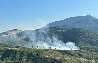 Honaz’daki orman yangını kontrol altına alındı