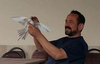 Husumetlisi tarafından başından vurulan şahıs...