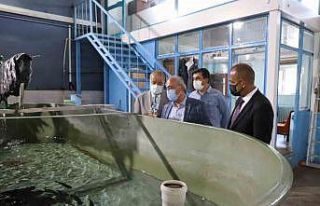 İçsu Balıkları Araştırma ve Uygulama Birimi,...