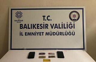 İnternet dolandırıcıları yakalandı