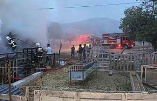 Isparta’da 500 balya saman yandı