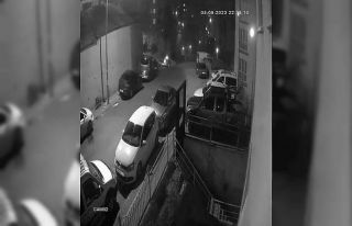 İstanbul’da yaban domuzu paniği: Şehir merkezine...