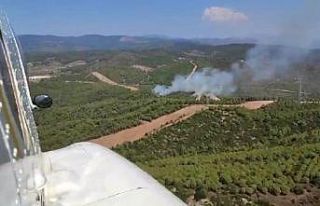 İzmir’de orman yangını