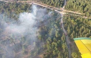 İzmir’deki orman yangını kontrol altında