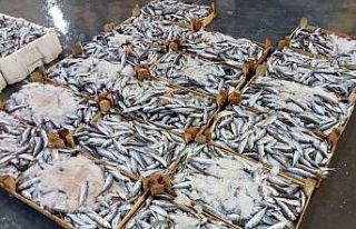 İzmirli balıkçılar sezondan umutlu