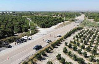 Jandarma, narenciye hırsızlığına karşı 24 saat...