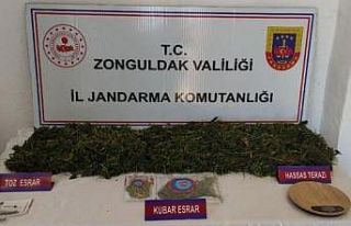 Jandarmadan uyuşturucu operasyonu: 1 kişi tutuklandı