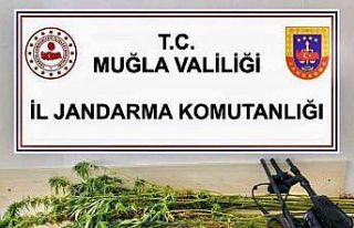 Jandarmadan uyuşturucu ve tarihi eser operasyonu