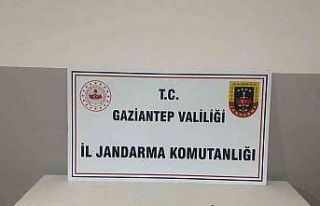 Jandarmanın ’maganda’ operasyonunda çok sayıda...