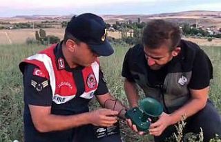 Kaçak avcıların ses oyununu jandarma bozdu