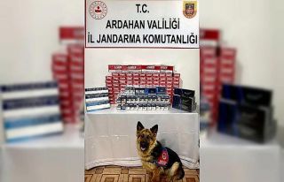 Kaçak sigara operasyonu; 4 gözaltı