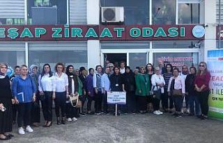 Kadın çiftçiler fındık zararlılarına karşı...