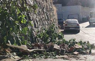 Kağıthane’de 13 yaşındaki kız incir toplarken...