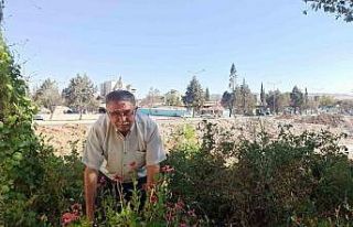 Kahramanmaraş’ta muhtar enkaz halindeki mahalleyi...