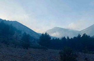 Kahramanmaraş’taki orman yangını kontrol altına...