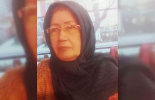 Kamyonetin çarptığı 73 yaşındaki kadın hayatını...