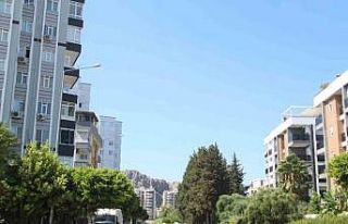 Kapılarına dayanan domuz sürüsü yüzünden siteye...