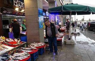 Karadeniz’de balık bereketi