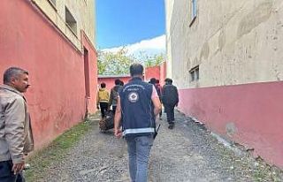 Kars’ta 16 düzensiz göçmen yakalandı