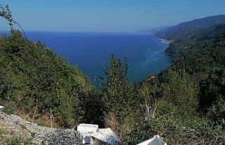 Kasalar dolusu balıkları yol kenarına attılar