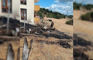 Kastamonu’da anız yangını