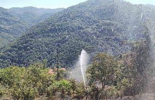 Kastamonu’da anız yangını ormana sıçramadan...