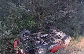 Kastamonu’da yola çıkan ceylana kamyonet çartı:...