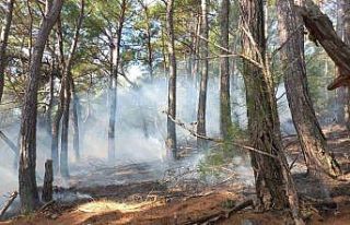 Kazdağları’nda örtü yangını