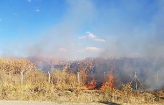 Kazı alanında korkutan yangın