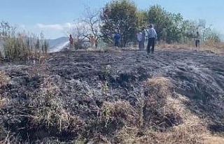 Kdz. Ereğli ilçesinde fındık bahçesi yandı