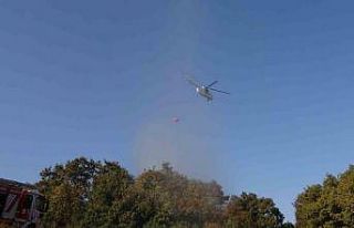 Kocaeli’de çıkan orman yangını söndürüldü