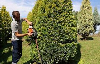 Kocaeli’de sonbahar hazırlığı