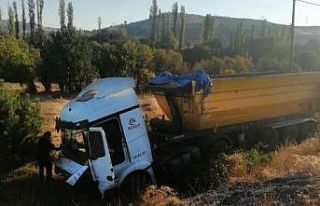 Kontrolden çıkan hafriyat kamyonu tarlaya uçtu:...