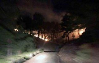 Köyceğiz Otmanlar’da 3 hektar ormanlık alan yandı