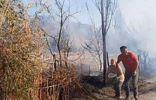 Köylerini saran yangını söndürmek için kadın...